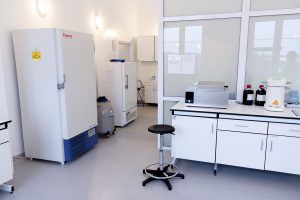 Laboratorium Hodowli Komórek i Tkanek