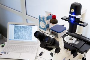 Laboratorium Hodowli Komórek i Tkanek