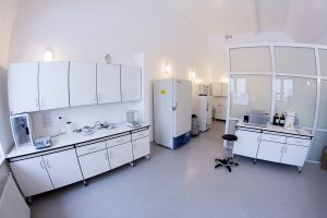 Laboratorium Hodowli Komórek i Tkanek