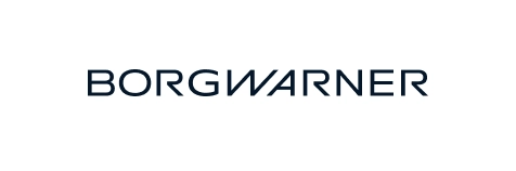 BorgWarner - Logo - Współpraca z kierunkiem Informatyka we WSIiZ w Rzeszowie