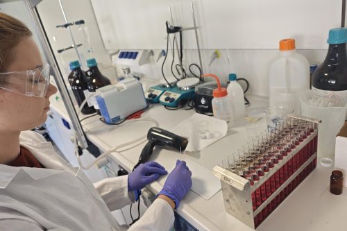 Badaczka WSIiZ w laboratorium