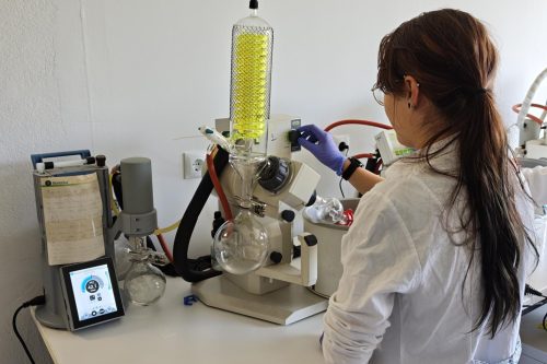 Badaczka WSIiZ w laboratorium